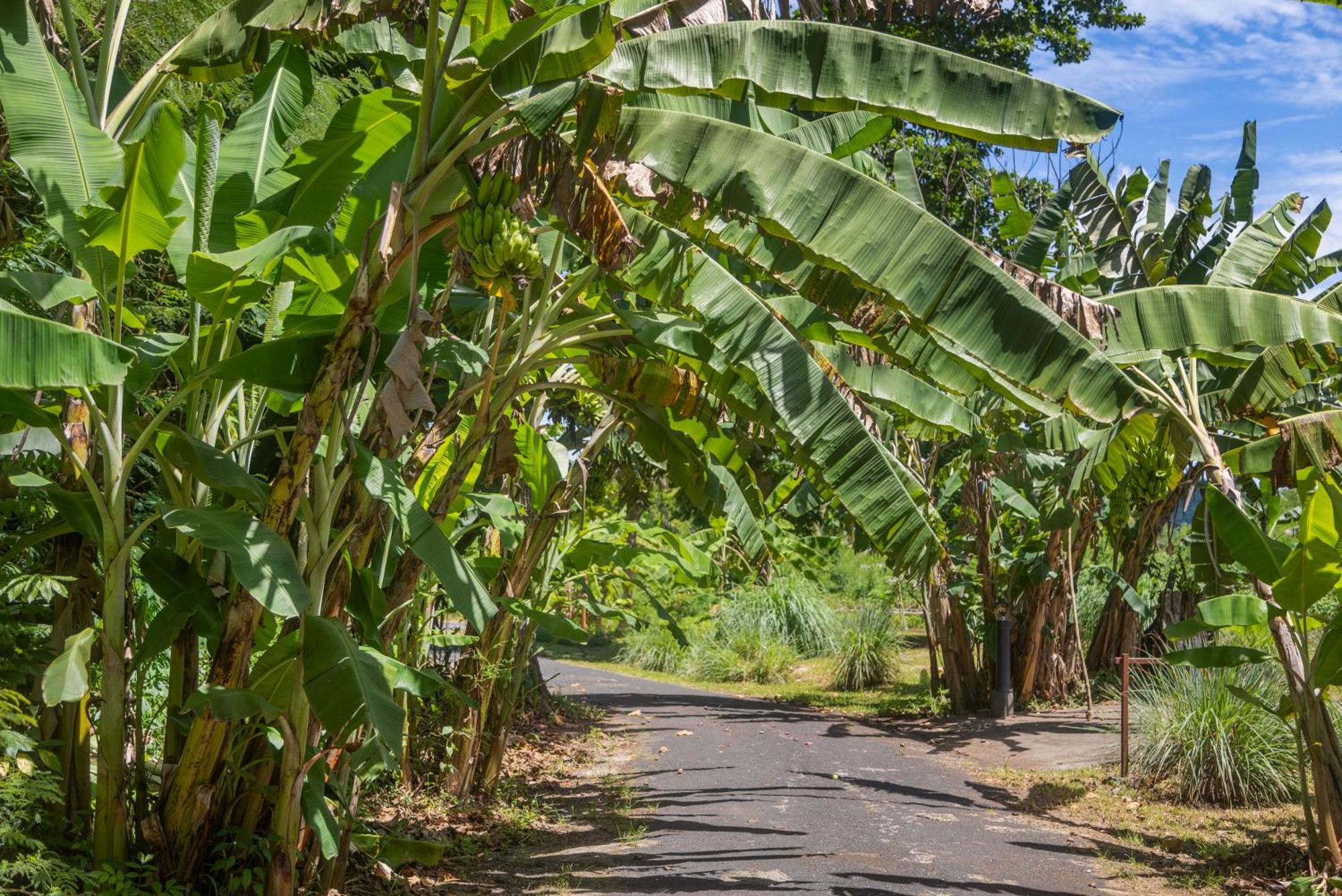 Iririki Island Resort&Spa Port Vila Bagian luar foto